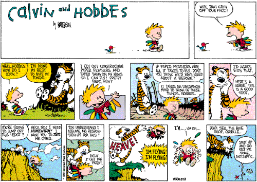 Calvin and Hobbes - I think comic describes my girls perfectly, but which one is which.