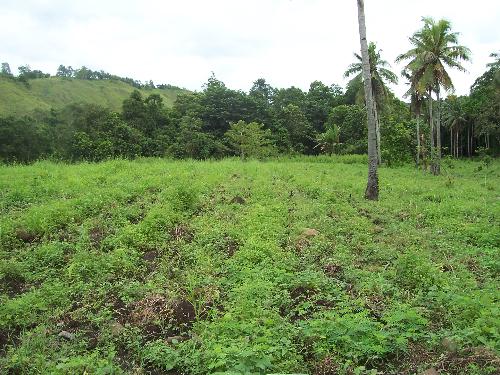 My farm - I use natural methods to make the farm fertile. There are no herbicides to kill weeds and make life difficult for earthworms.