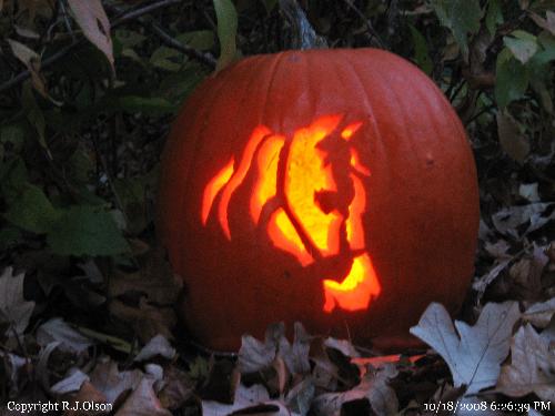 Horses head - This is an awesome job of carving a pumpkin.