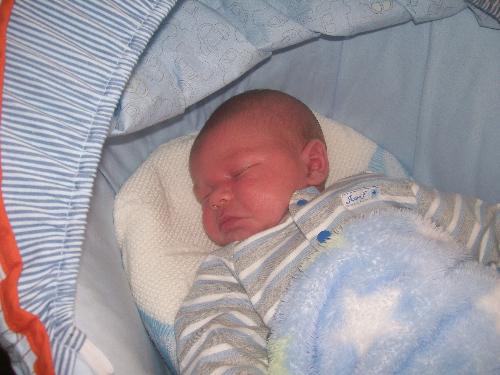 reece - Baby Reece four weeks old