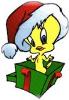 Christmas - Christmas gifts, Christmas cheers, Christmas time