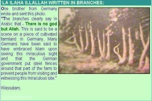 There is none worthy of worship except Allah - The kalima written with trees