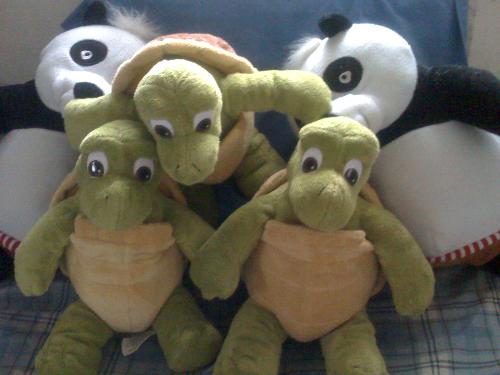 panda and turtles - I love this turtle stuff toys and bought three, I am planning to buy more but the stock were gone