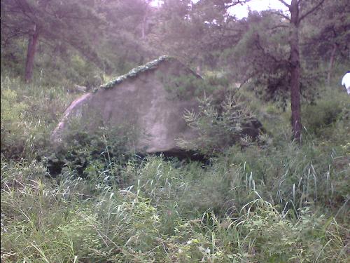 a house in a virgin forest - I took this photo in august when I took a journey with my friends in a virgin.I was very shocked at the shape and the color of the stone,it is verrry like a house.even at the place I just took the photo,I still consider it is a house.