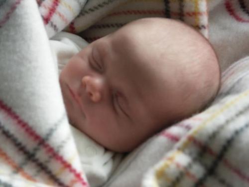 sleeping - sleep well sleep nice