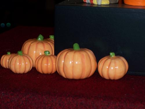 pumpkin patch - here it is tiny pumpkins