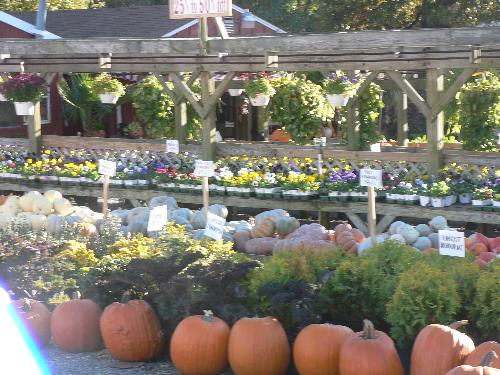 nursery near Windsor Estates - Nice Nursery