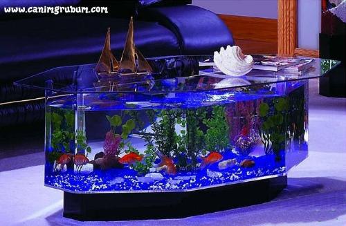 a beautiful aquarium - Wow what a beautiful aquarium and teapoy..
