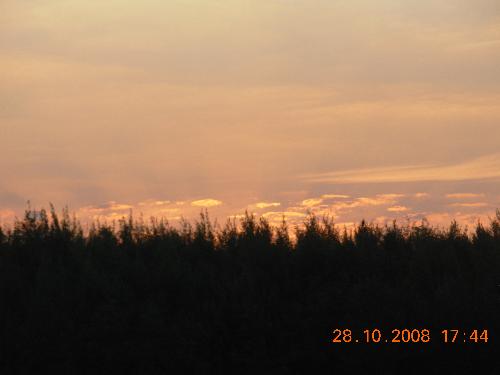 a beautiful sunset - a beautiful sunset setting fire to the pine forest beside the sea..Look at the dwindling lights of the sunset.. breathtaking..