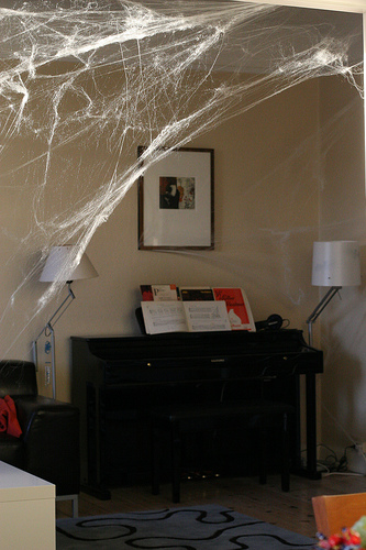 Cobwebs - I find that the corners of my ceiling start having cobwebs and it need to be cleaned well every couple of weeks. I have tried brushing it off and using a vacuum cleaner. They just reappear.
Do you have a problem with cobwebs in your home? How do you cope with it?