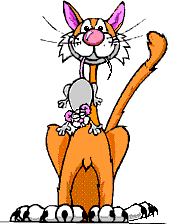 Cat and Mouse - Lunch Time