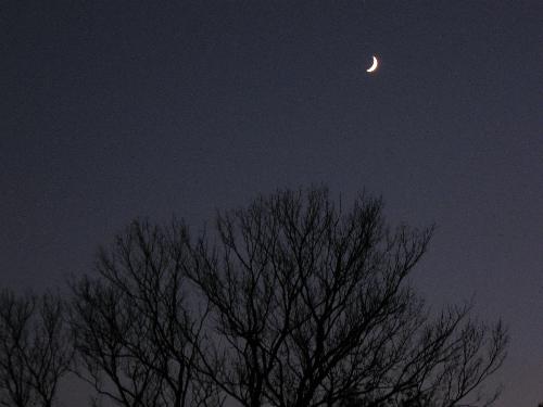 Autumn moon - Taken with Canon PowerShot A590 IS, Oklahoma evening sky looking southwest, 11/02/08