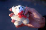 Teddy Bear I Love Them - Teddy Bear I love them they are very cute