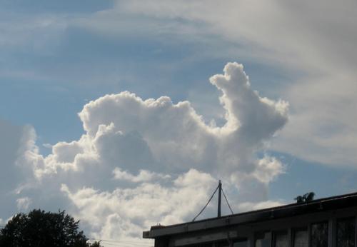 Thats a bunny - from the cloud appreciation page