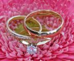 wedding rings - wedding rings on a flower