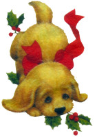 a brown pup with red holly ribbon wrapped around h - a brown pup with red holly ribbon wrapped around him