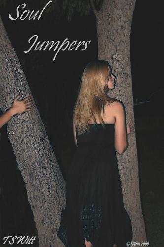 NaNoWriMo Cover Art - This is the cover for the book I'm writing for National Novel Writing Month.