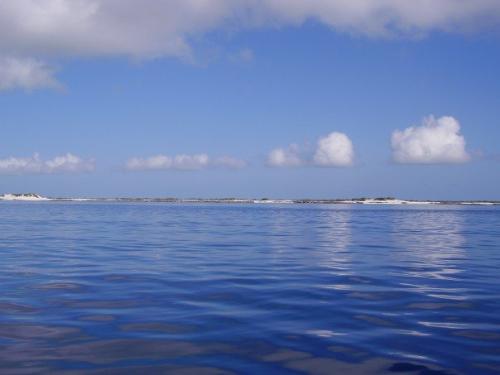 Profile Picture - Crystal Clear water