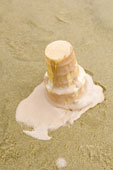 Ice Cream - Nothing worse than wastd ice cream!