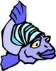 a blue fish with two colors - a blue fish with two colors