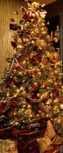 Christmas Tree - A must have during christmas. A fully decorated tree with loads of presents under it waiting to be opened!