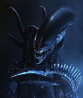 dragon - is that a alien or a dragon??