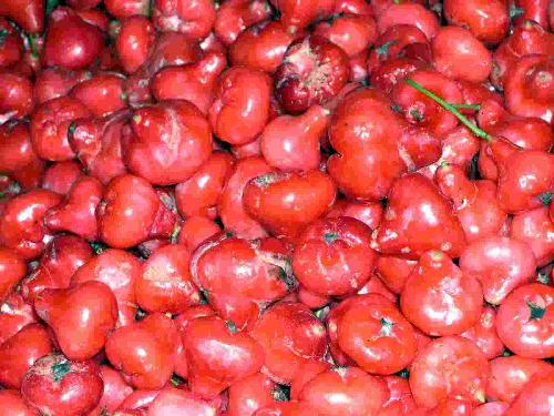 vegetables - lot of those red ones!