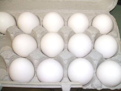 Eggs for Cooking - Eggs that are used for cooking.