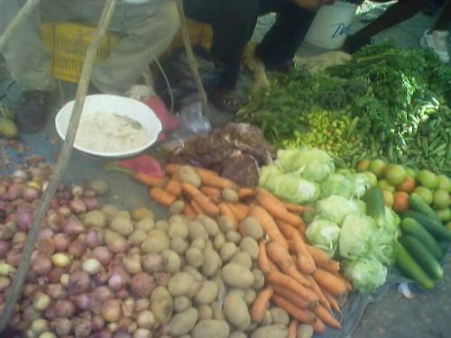 vegetables - to be sold on the market