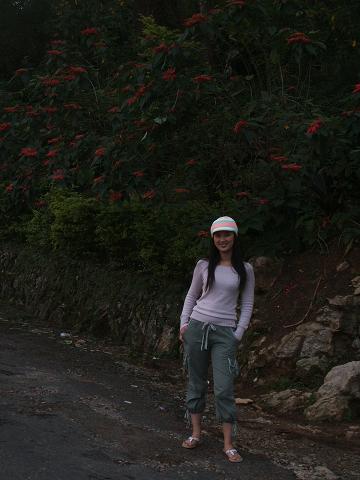 somewhere along the road - discovering places