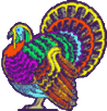  a big multi colored turkey - a big multi colored turkey