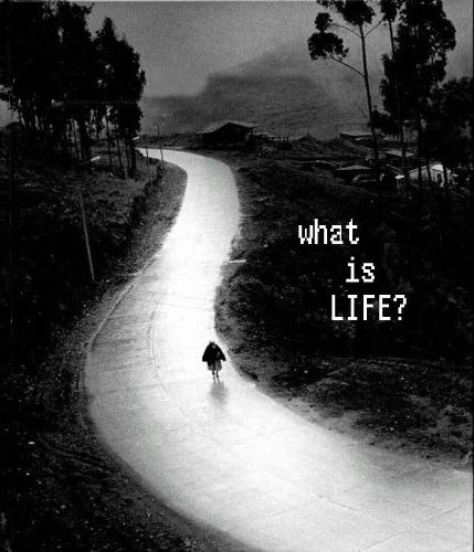 What is Life - Life is beautiful like a car, driven by you!