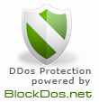 blockdos - one of the companies that provides protection