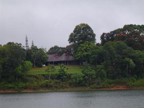 Thekkady - This another view of beatiful place thekkady. Thekkady experience is so amazing that u will feel you are entering to another world. The monkeys are very naughty there.. so u have take care
