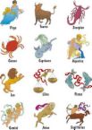 zodiac signs - a chart of zodiac signs