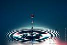 water drops in a pond - drops of water in a silent pond create an such beuatiful scene of water