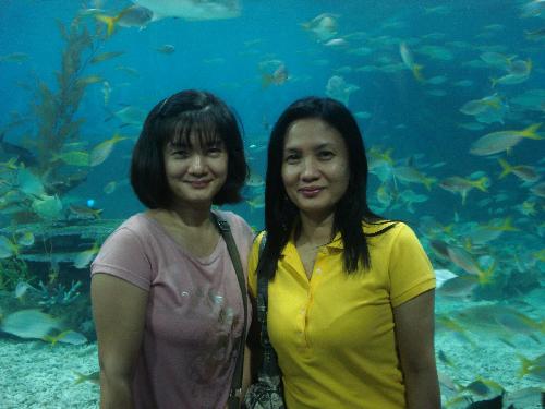 the sisters  - the sisters at ocean park visit last summer