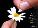 aim should be there - hi friends all should have aim