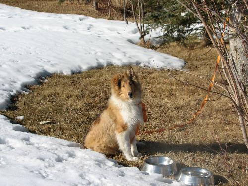 Outside - King outside in the winter.