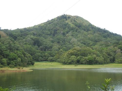 Kerala tourism - See the pride of kerala and testimony to nature's splendour and human innovation... Thekkady....