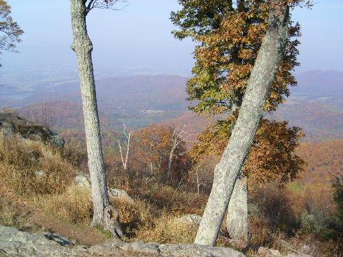 fall colors @ skyline drive, VA - This photo is taken in one of the overlooks at Skyline Drive, Shenandoah Park, VA.