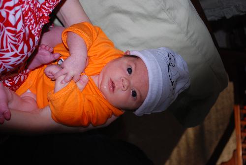 The Magnificent My Halloween Grandson - He is all dressed up with no candy in sight. Ah Well! Next year will come soon enough and I will be there with bells on. Grandchildren I have decided are the best revenge.