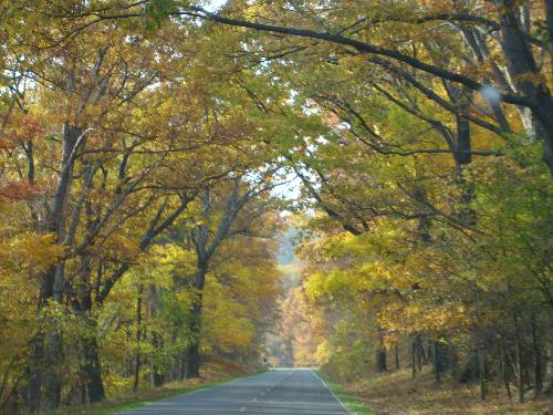 welcome - Photo taken while driving along Skyline Drive, Shenandoah Park, Virginia