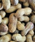 peanuts - peanuts is a good source of vitamin E