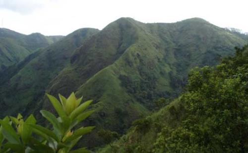 Vagamon - One cool place in kerla