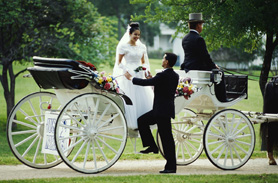 Wedding - Just Married!