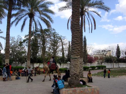 Trips taken - A photo i took on a trip to Jericho - Palestine