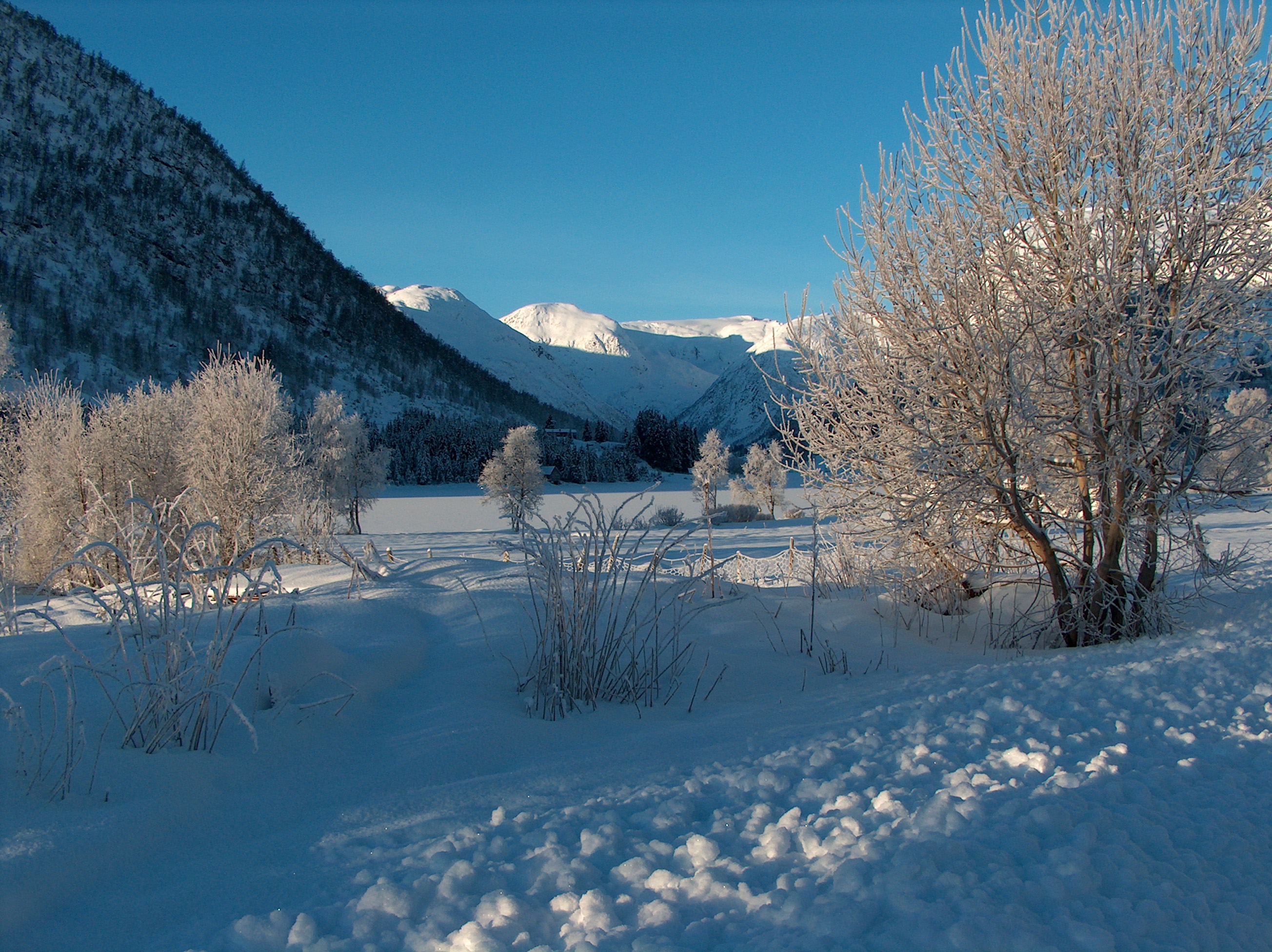 winter - winter, snow