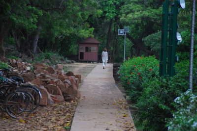 a park - do you enjoy going to park??it is a good place to relax yourself