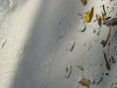 beach - bitaog beach, dinagat province...